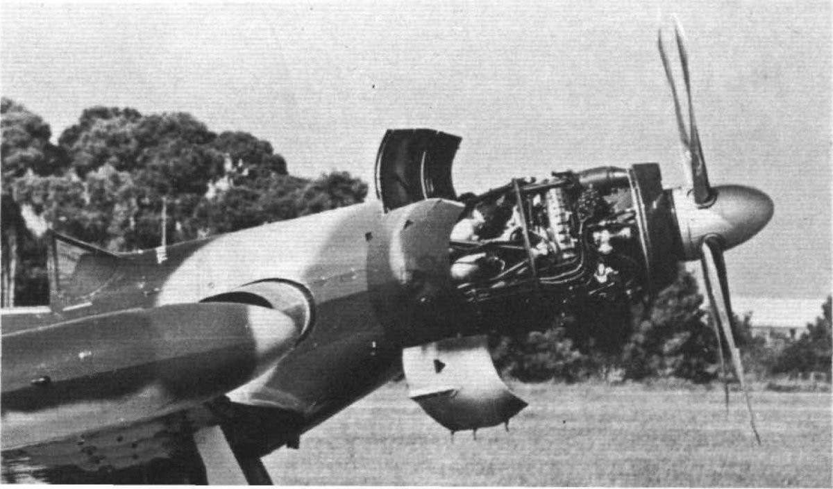 Cavalier Turbo Mustang III