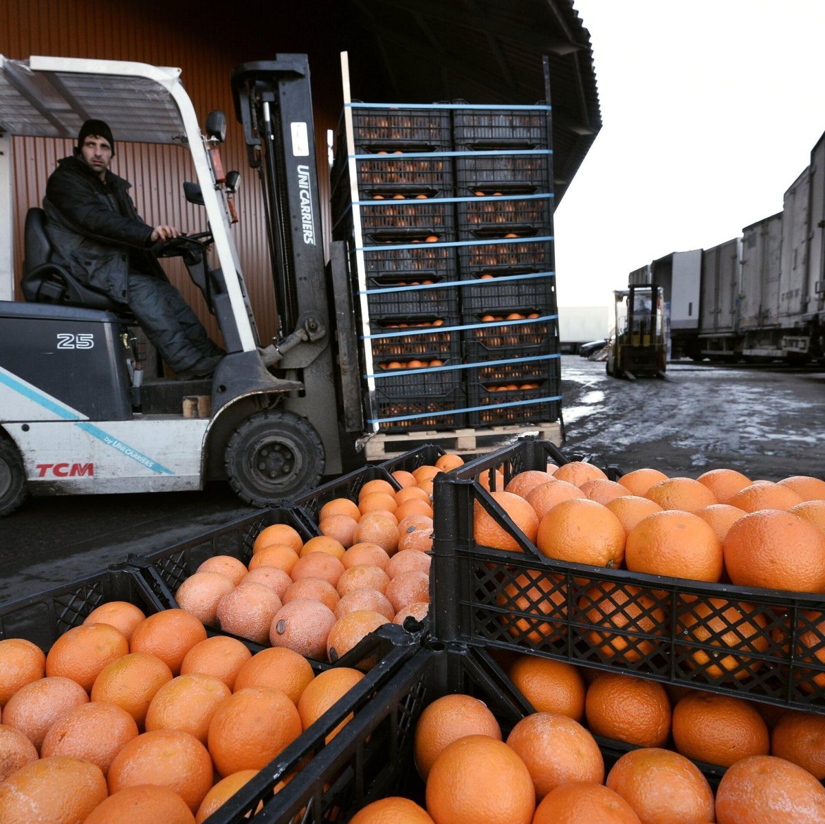 Фуд Сити рынок