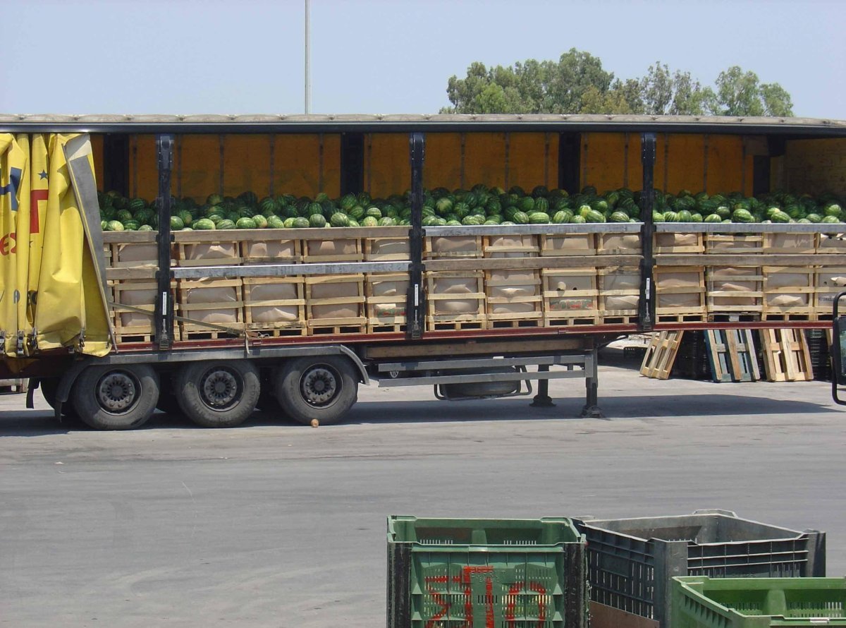 Транспортировка овощей и фруктов
