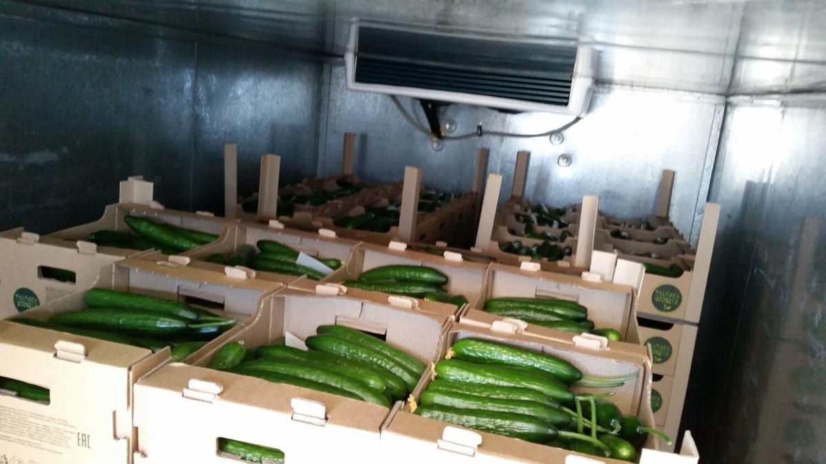 Перевозка продуктов