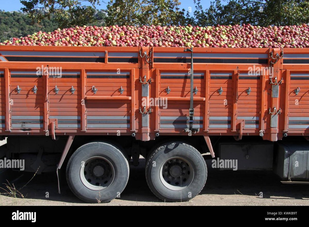 Грузовик с яблоками