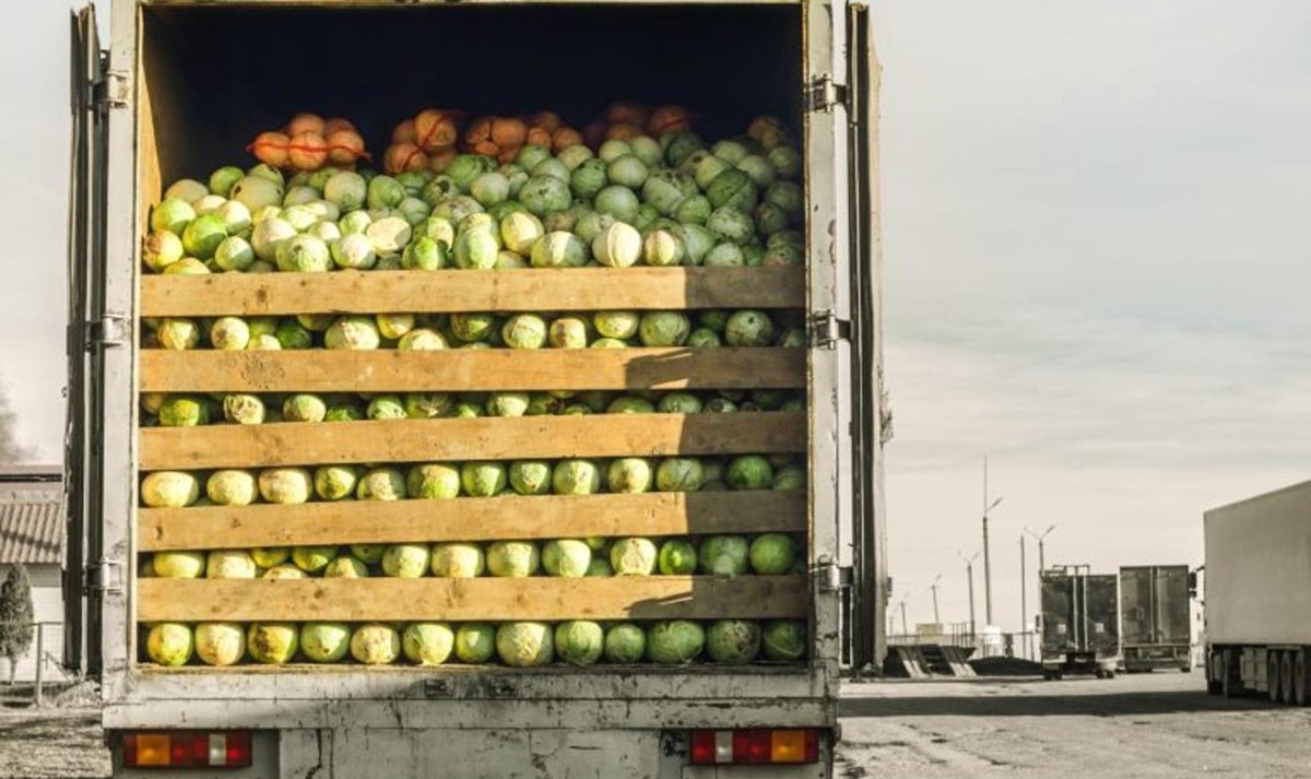 Машины для перевозки продуктов