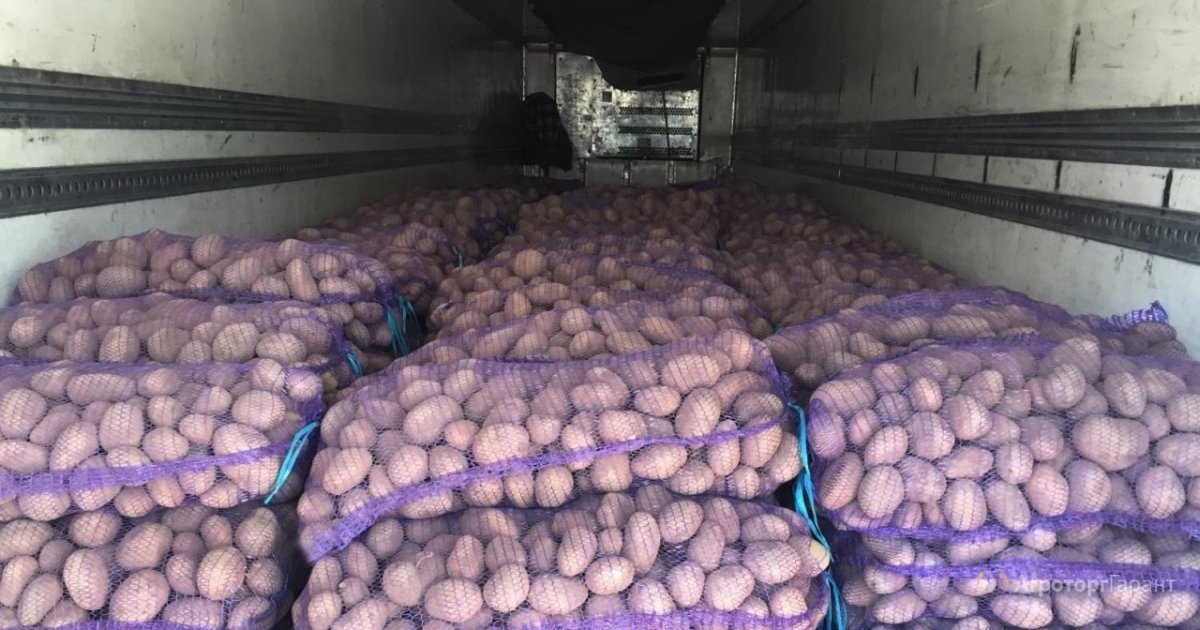 Склад картофеля