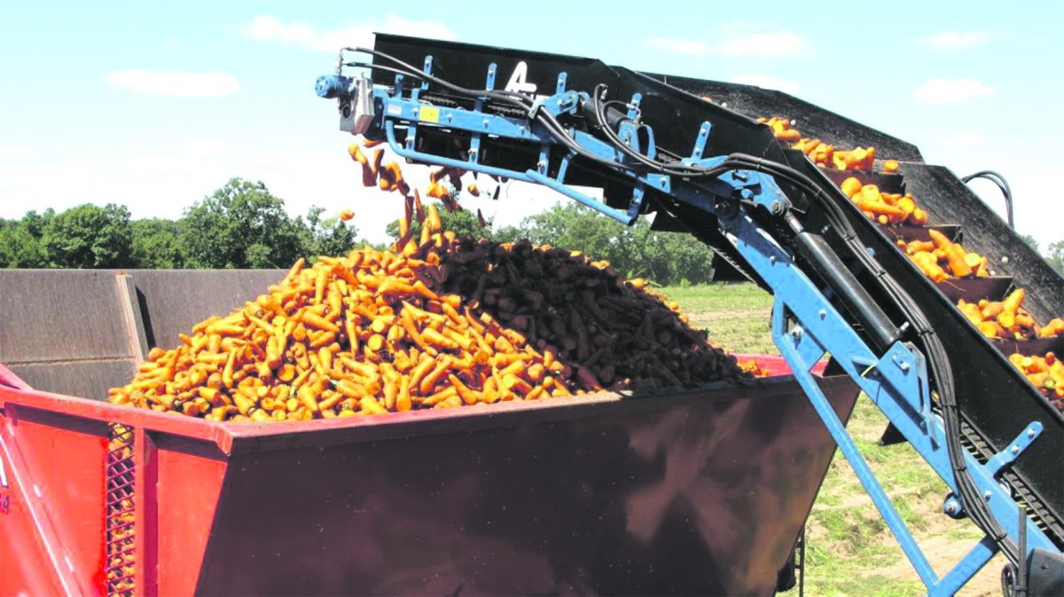 Машина для уборки моркови ММТ-1