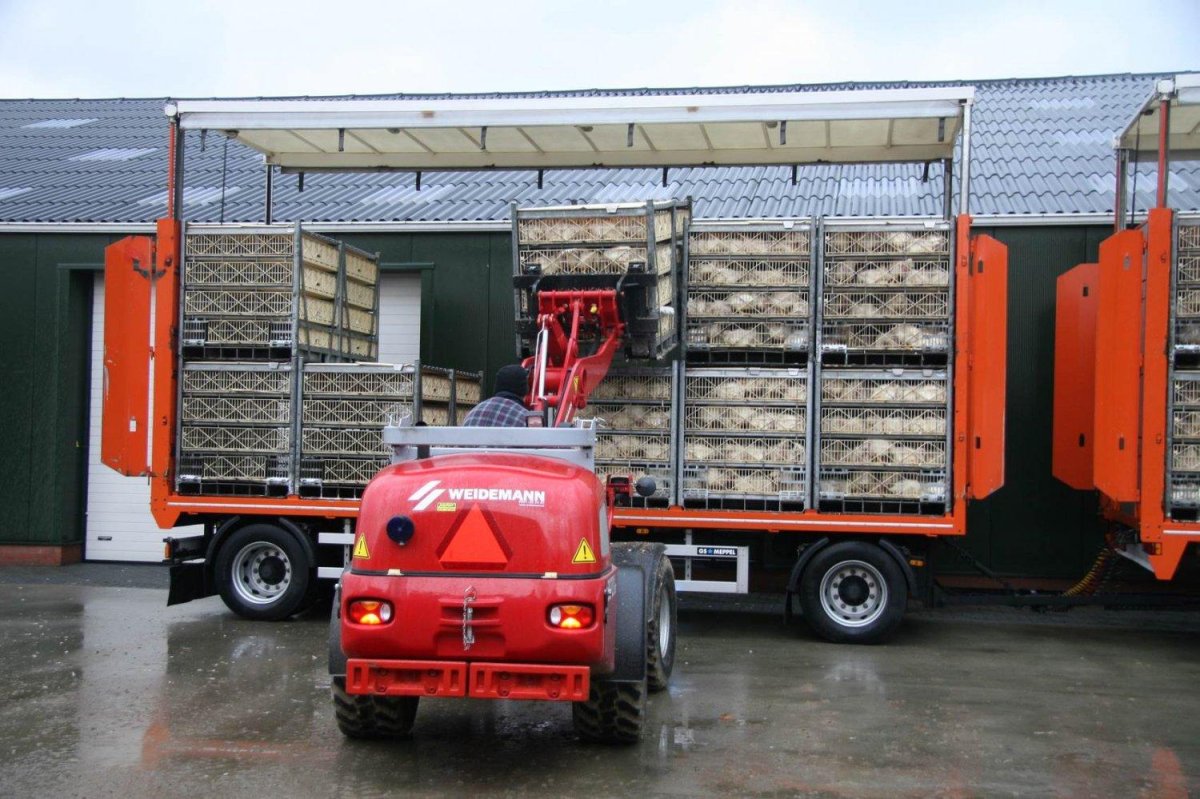 Автомобиль для перевозки птицы