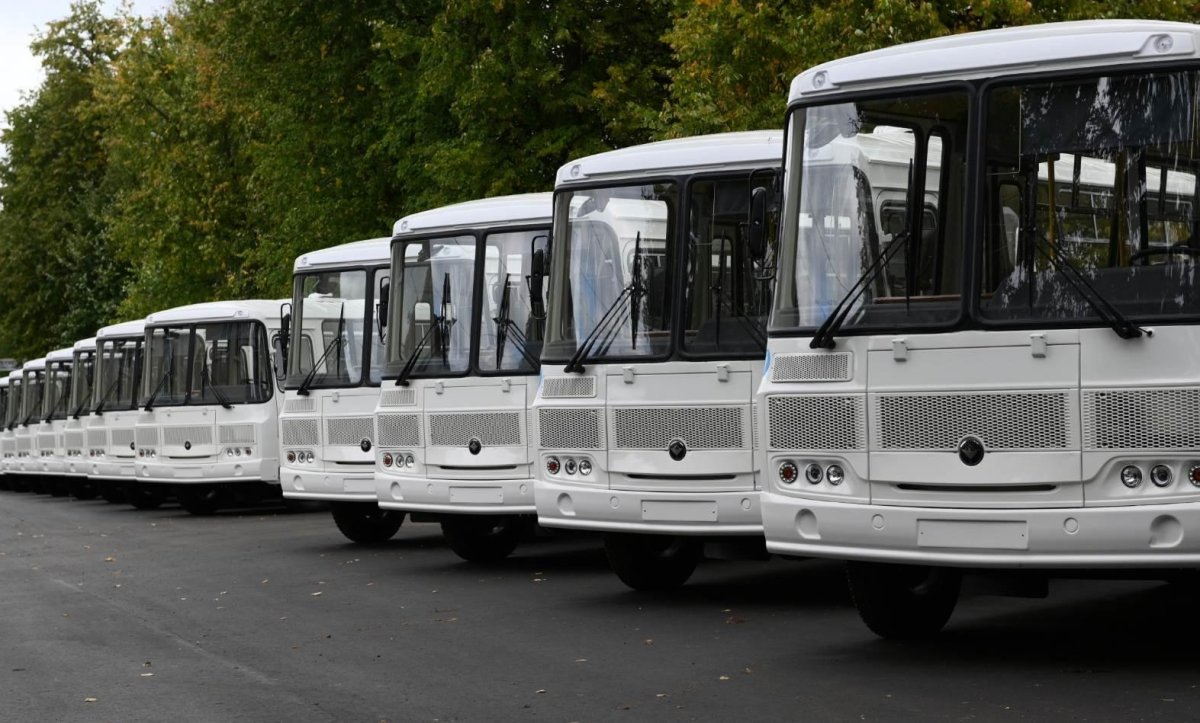 Автобусы Павлово