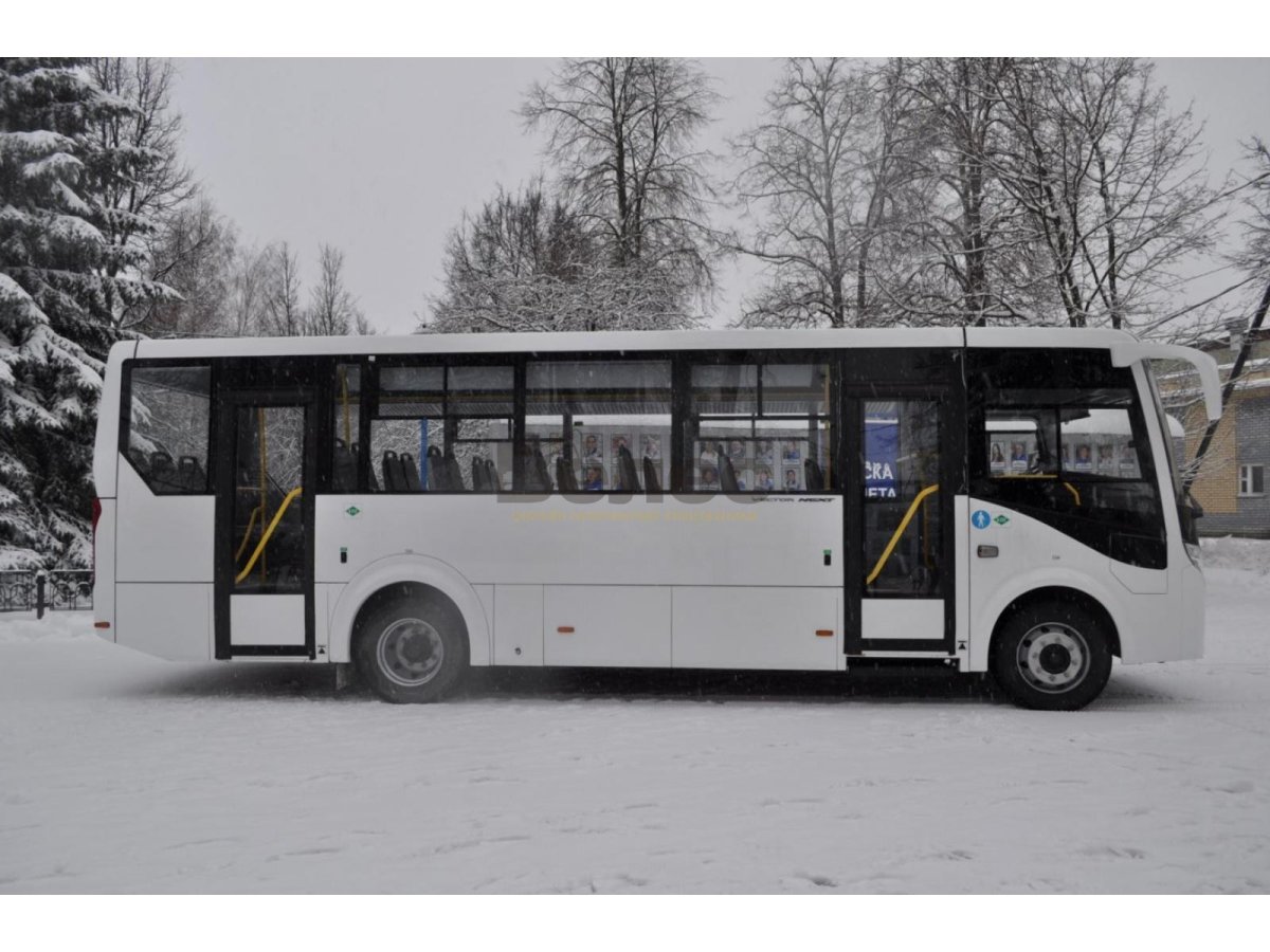 ПАЗ-320455-04 "vector next"