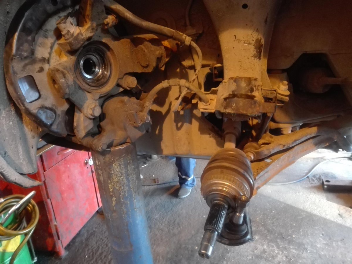 Nissan primera p11 передняя подвеска