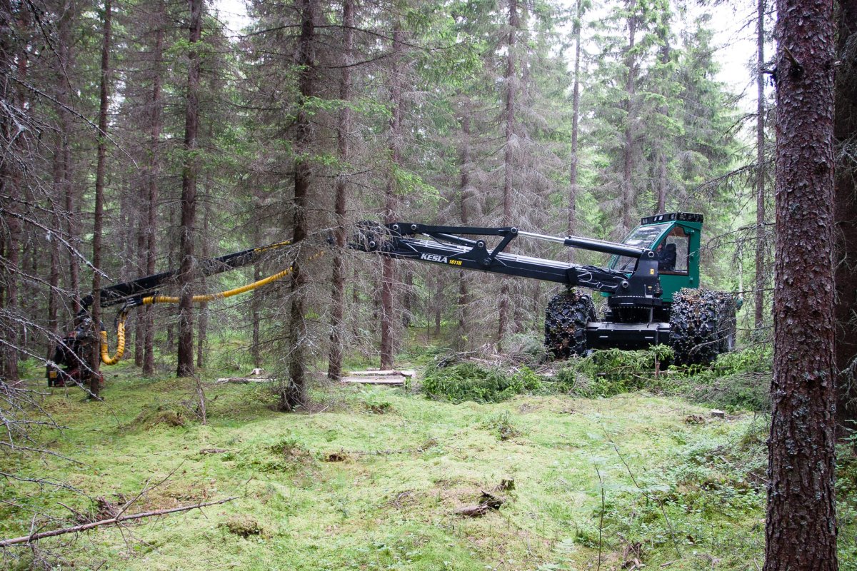 Фото харвестера в мм2