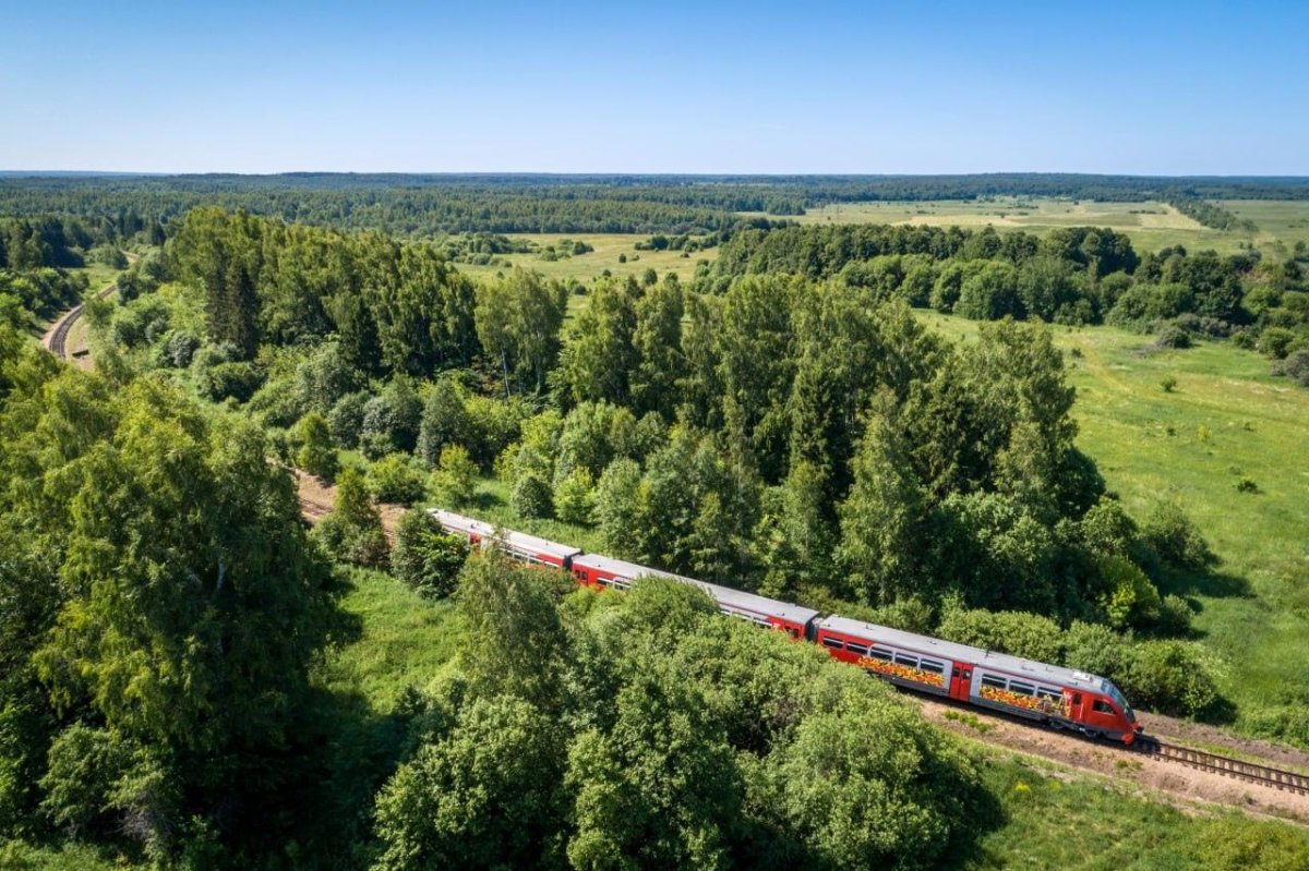 Переславский поезд экспресс туристический