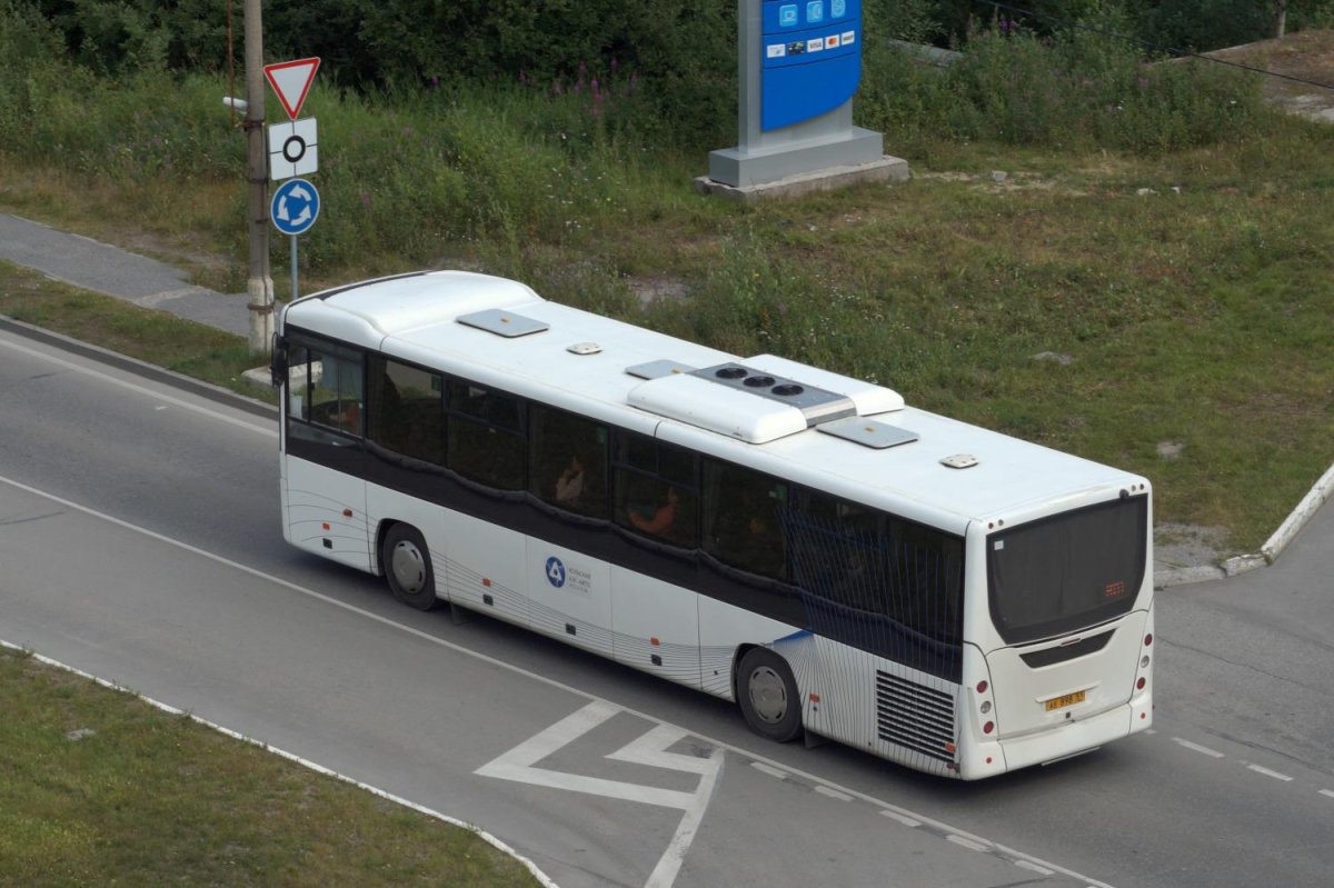 Автобус МАЗ 231