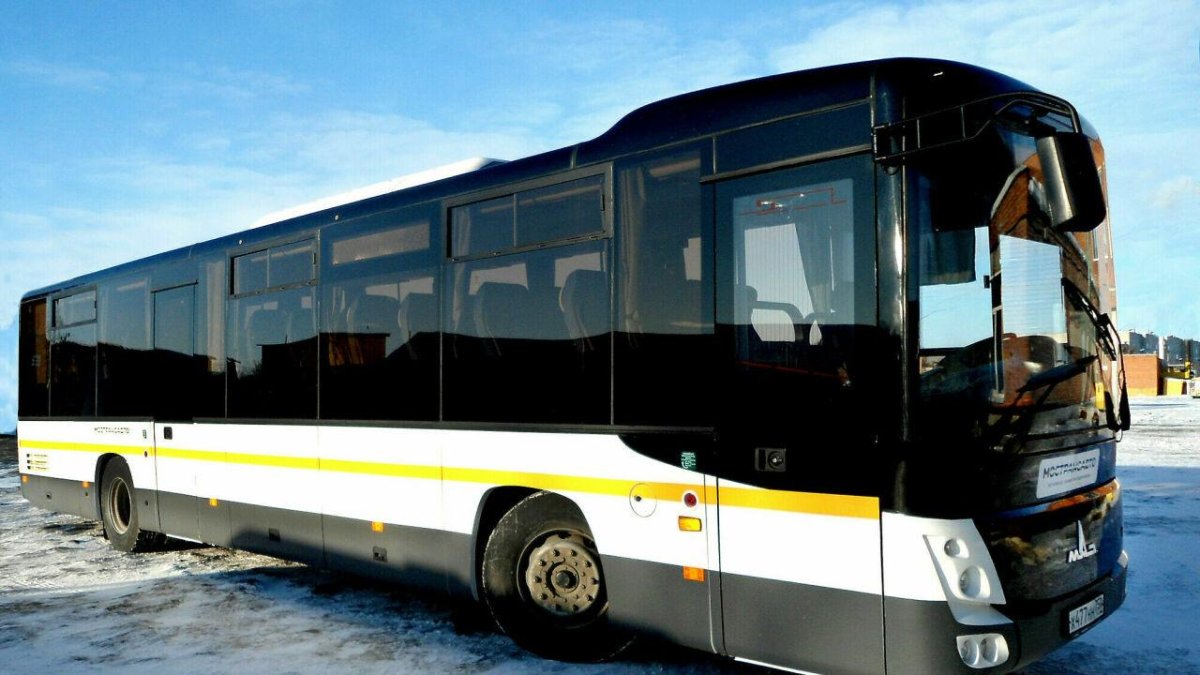 Автобус МАЗ 231062