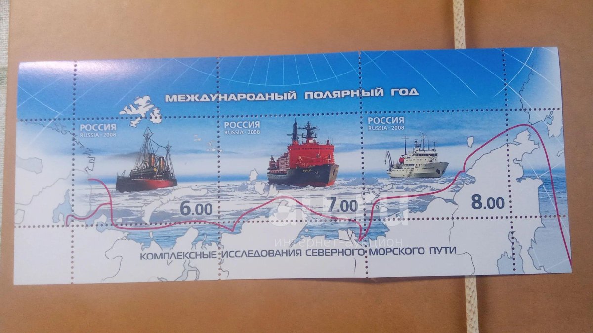 Международный Полярный год