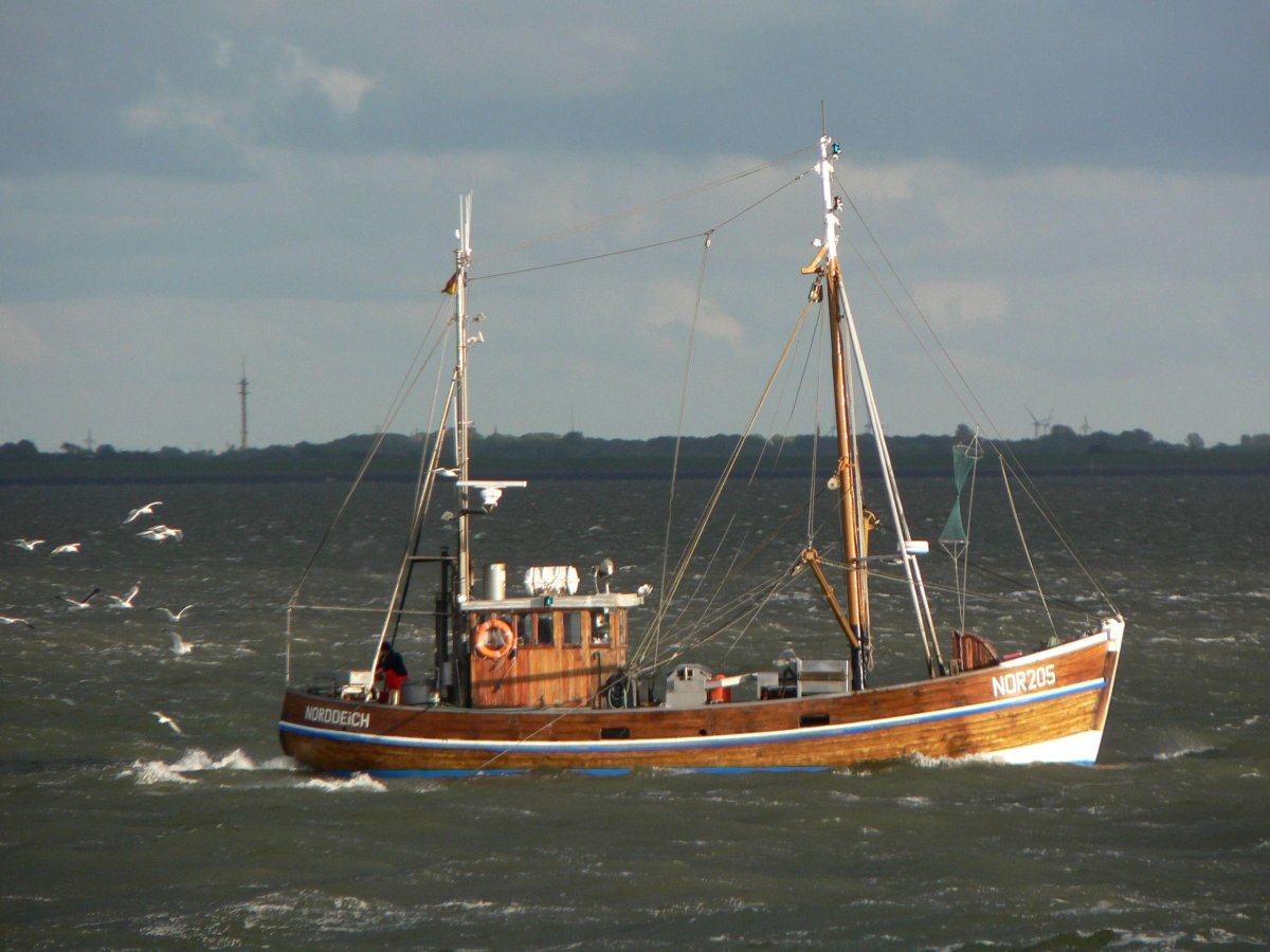 Черноморская фелюга