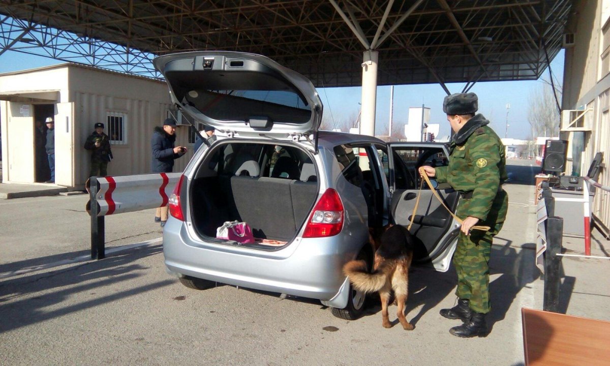 Пограничник пункт пропуска