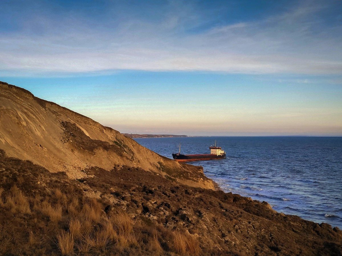 Стена с мидиями около корабля Тамань