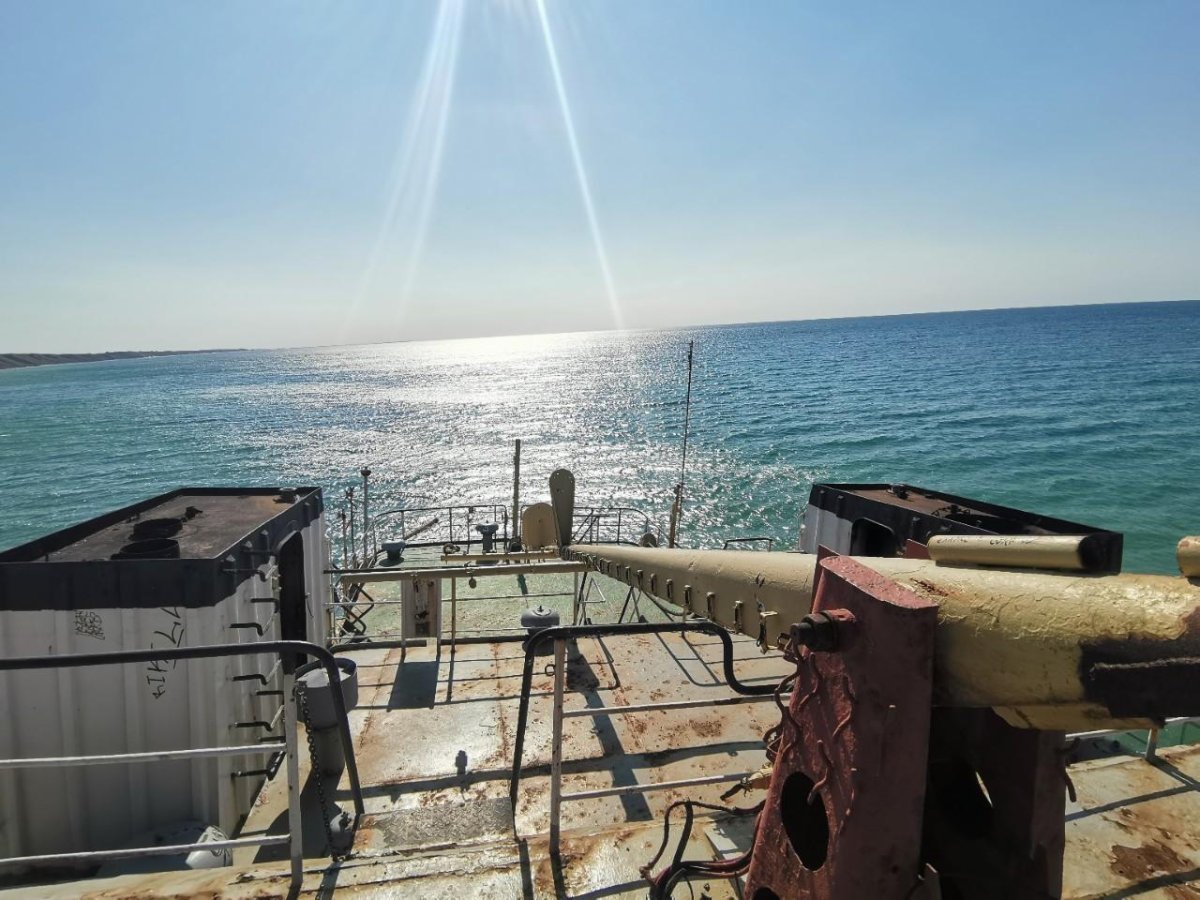 Surov сухогруз