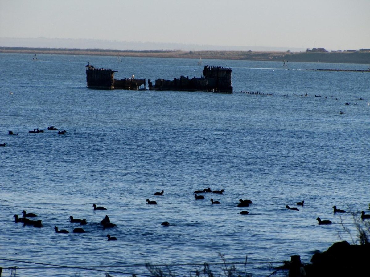 Затонувшая баржа Спартановка