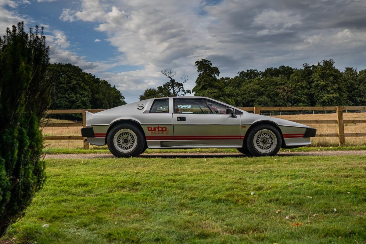 1981 Lotus Esprit Turbo