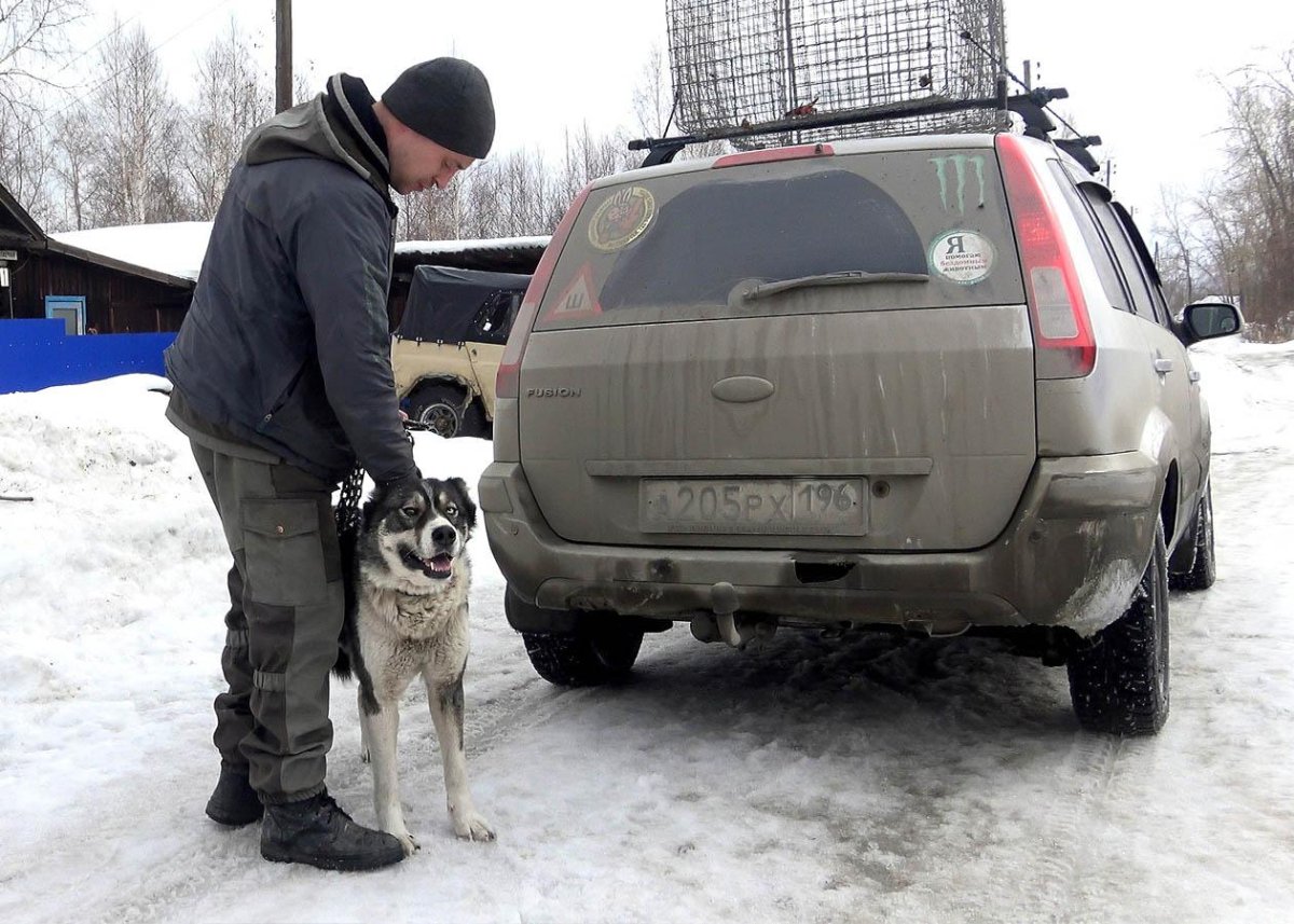 Машина на которой отлавливают собак фото