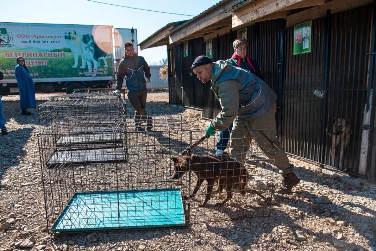 Арсеньев приют Аристократ
