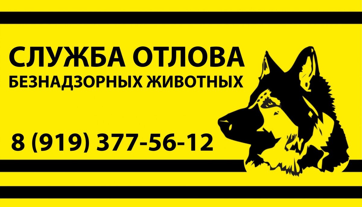 Служба отлова бездомных животных