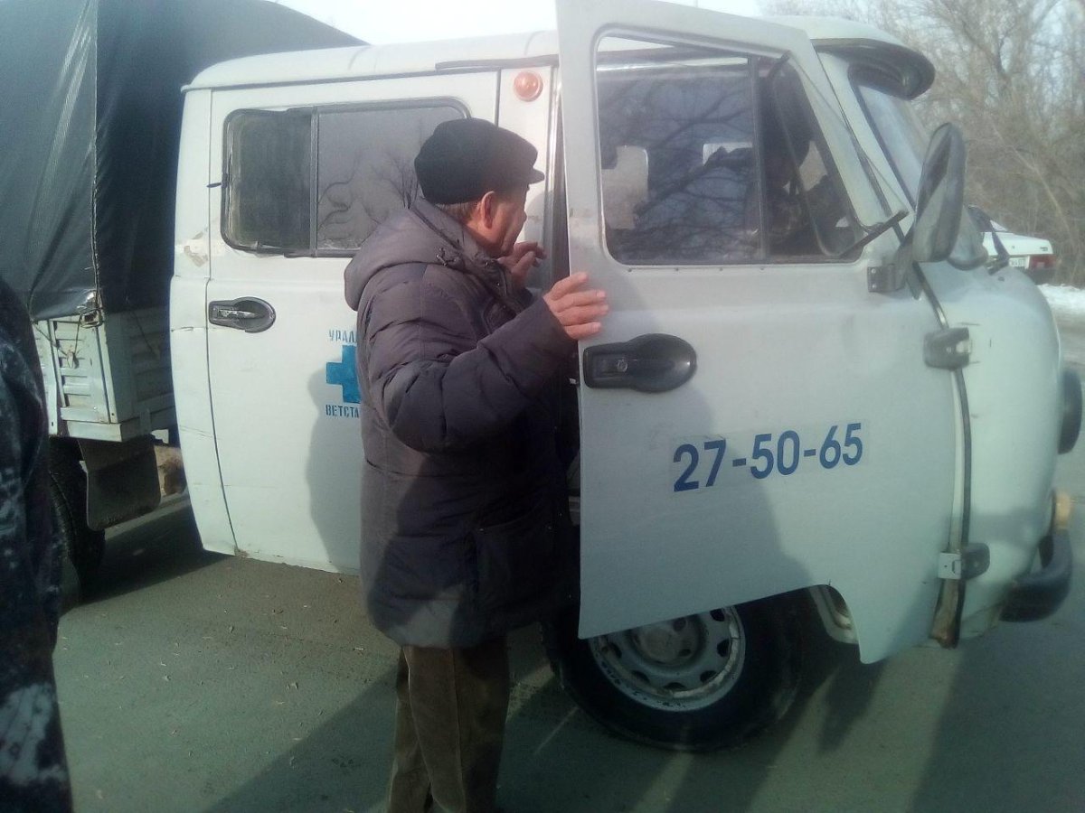 Найдена собака Караганда