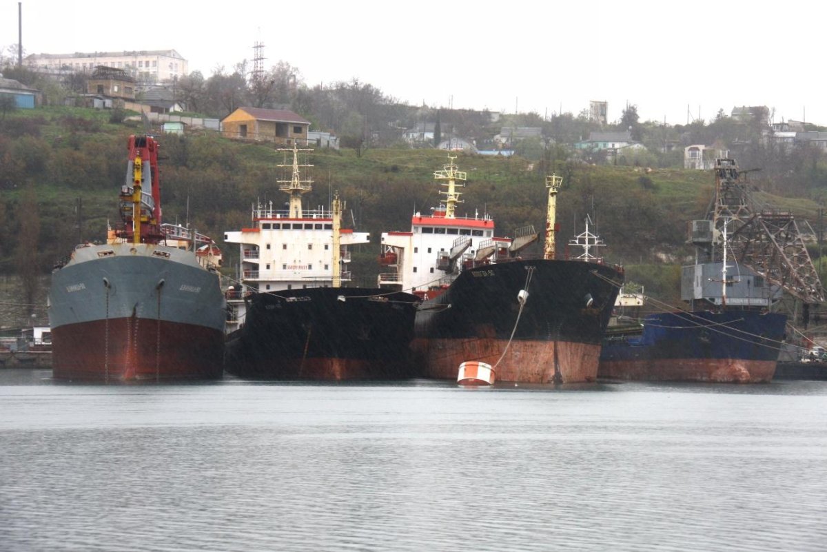 «Двиница-50»