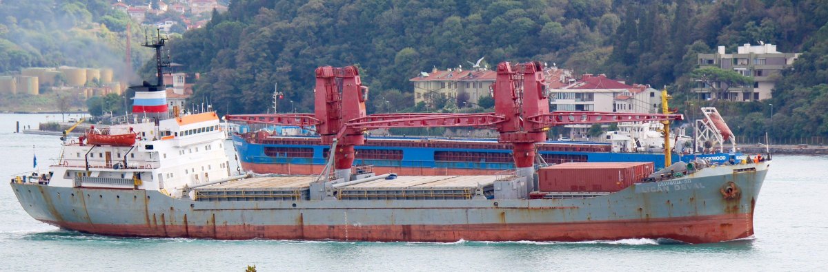 Судно БМСТ Яуза