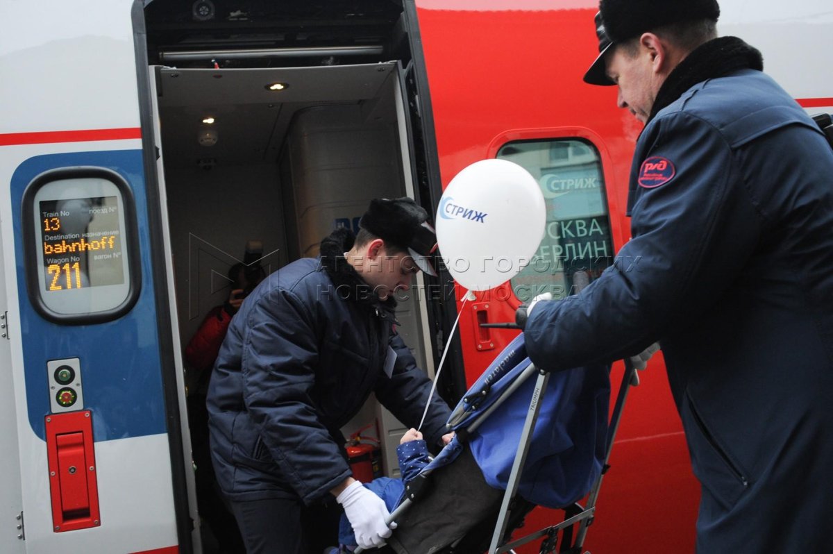 Стриж поезд