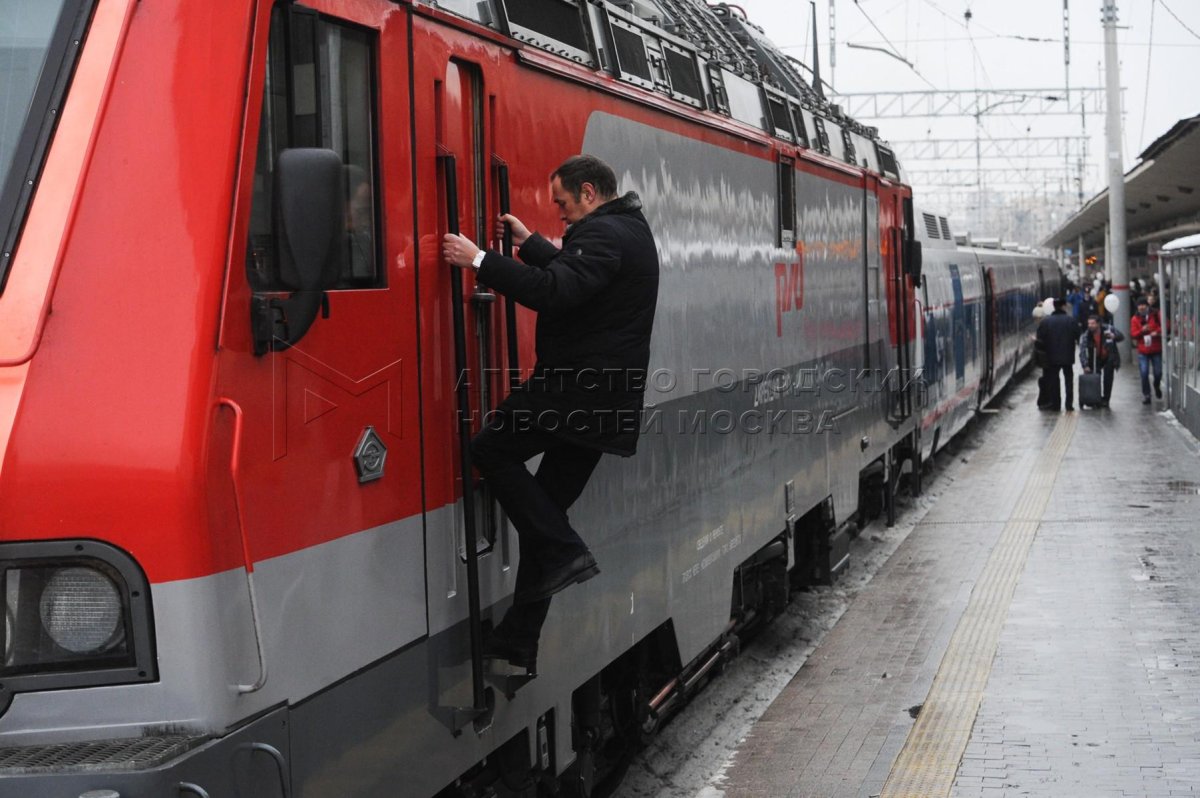 Стриж поезд