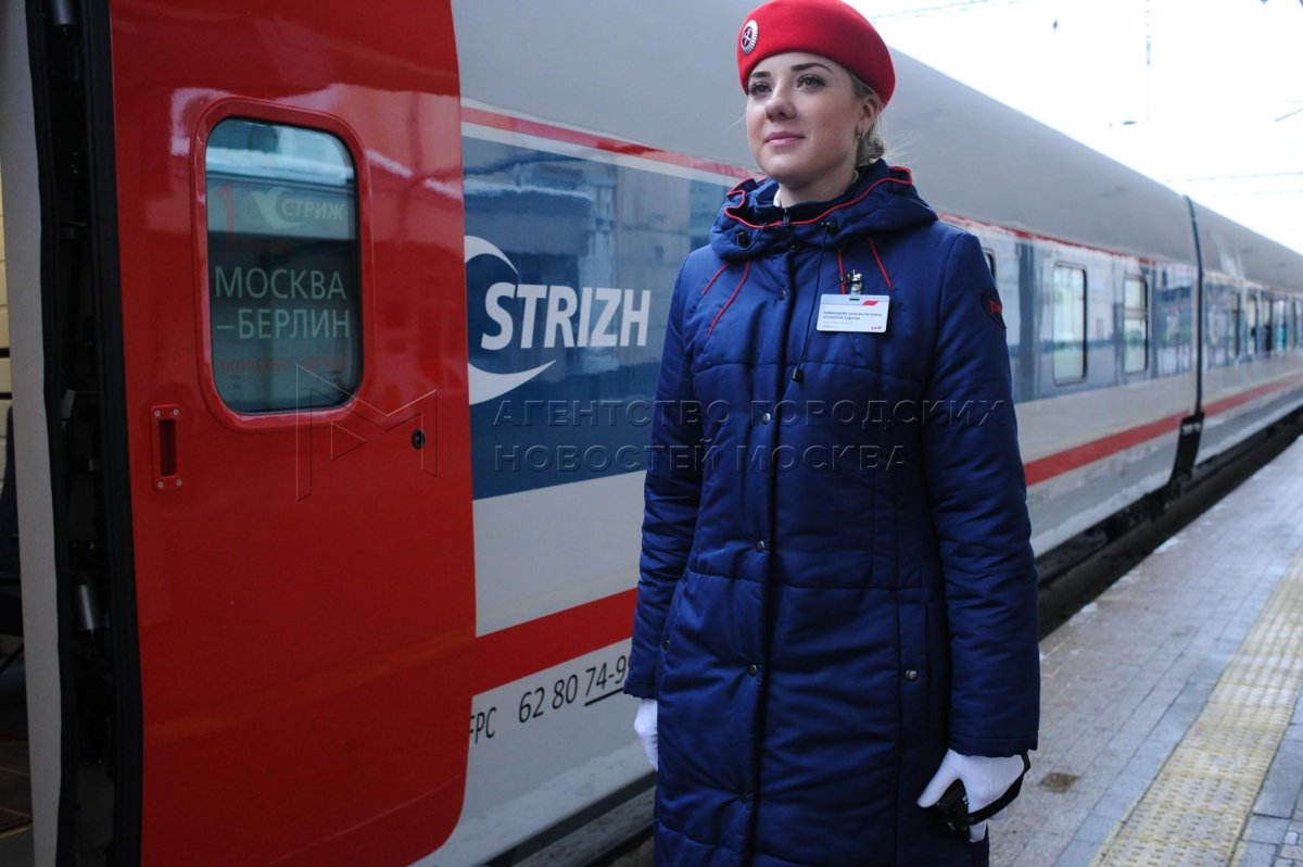 Стриж проводники