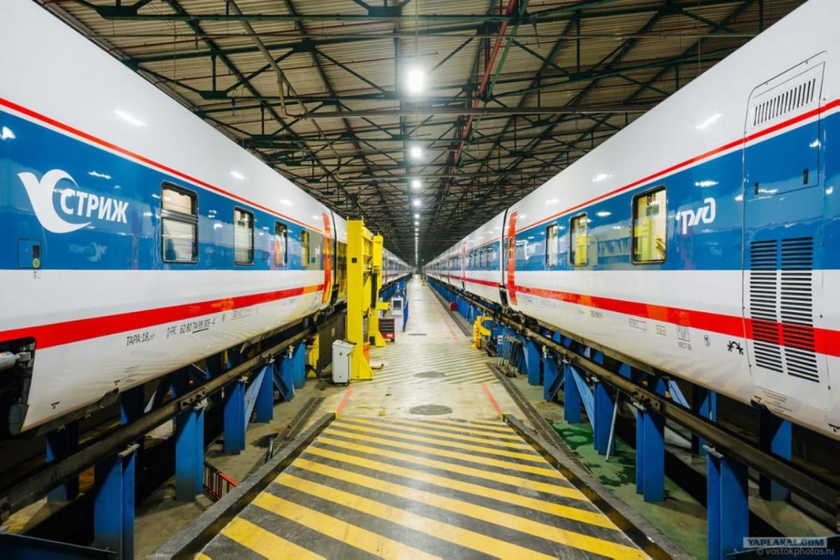 Вагоны Тальго Стриж