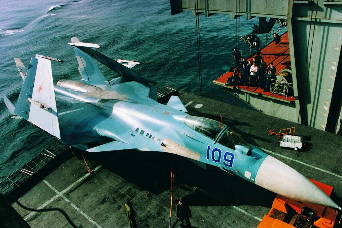 Су-33 с москитом