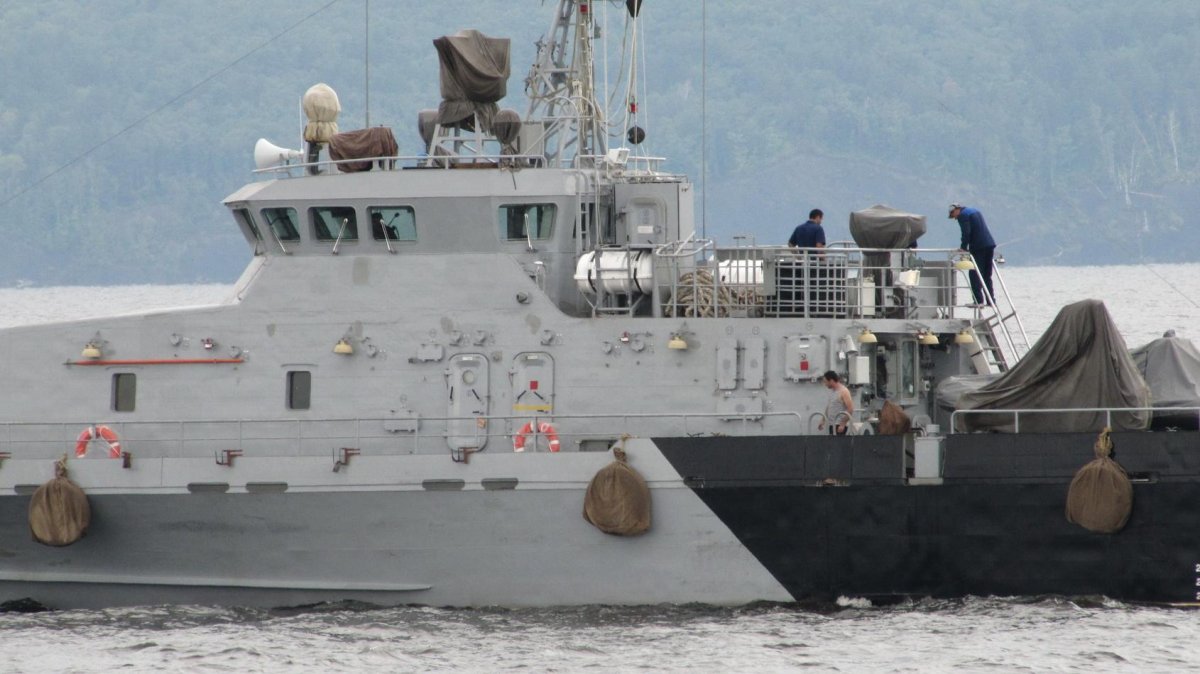 21980 Грачонок