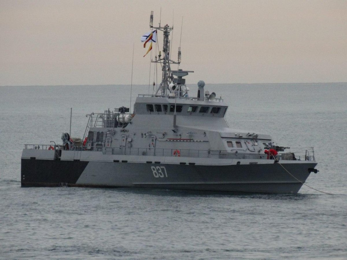 Проект Грачонок