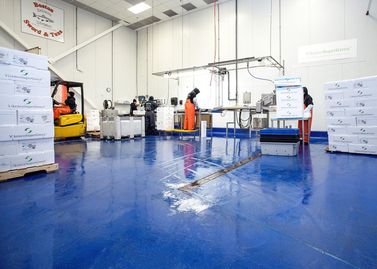 Полиуретановый пол