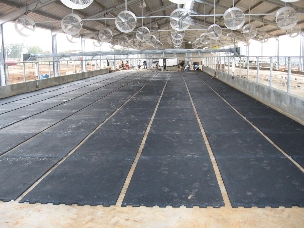 Напольное покрытие в коровнике