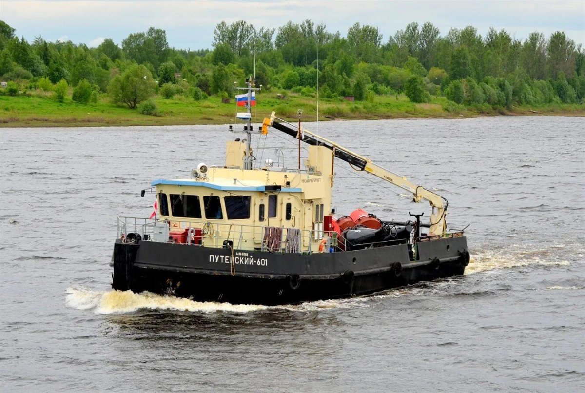 Путейский 601