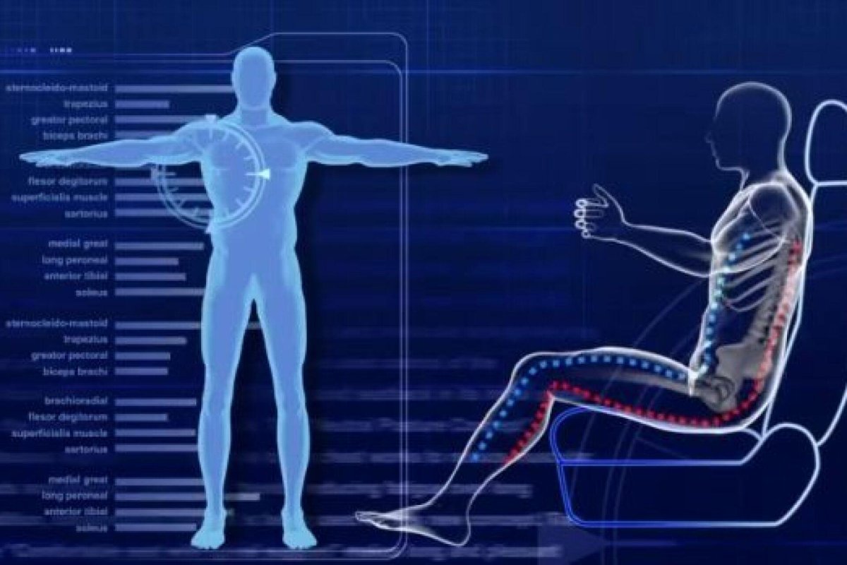 Влияние перегрузок на организм