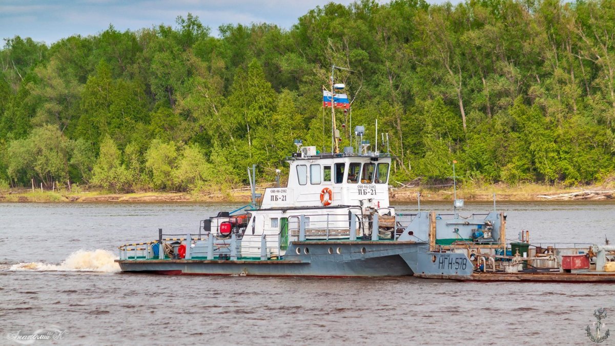 БТ 662 толкач