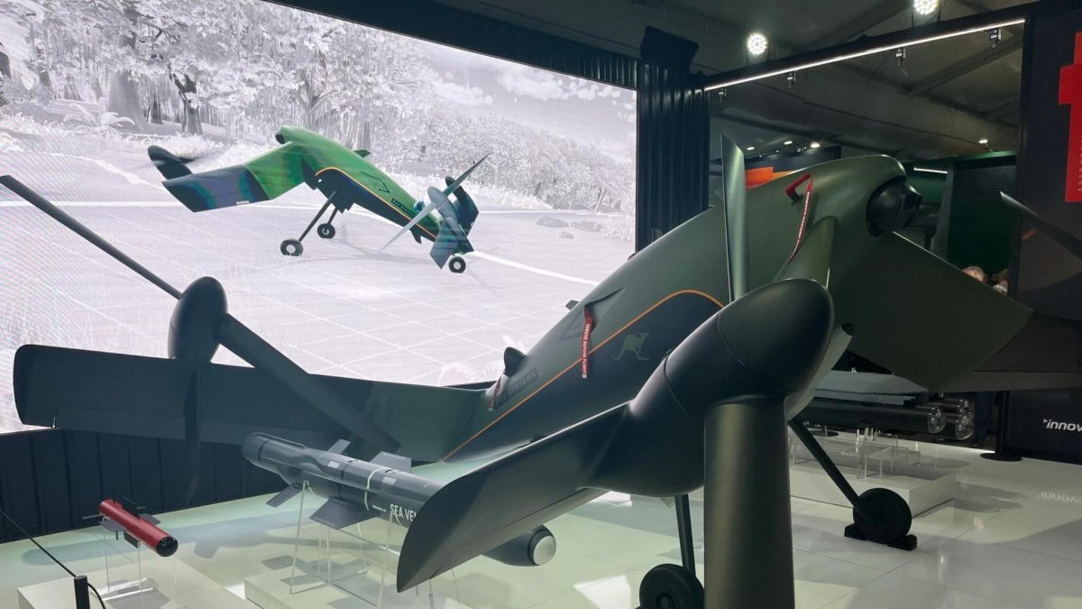 БПЛА Bae Systems taranis