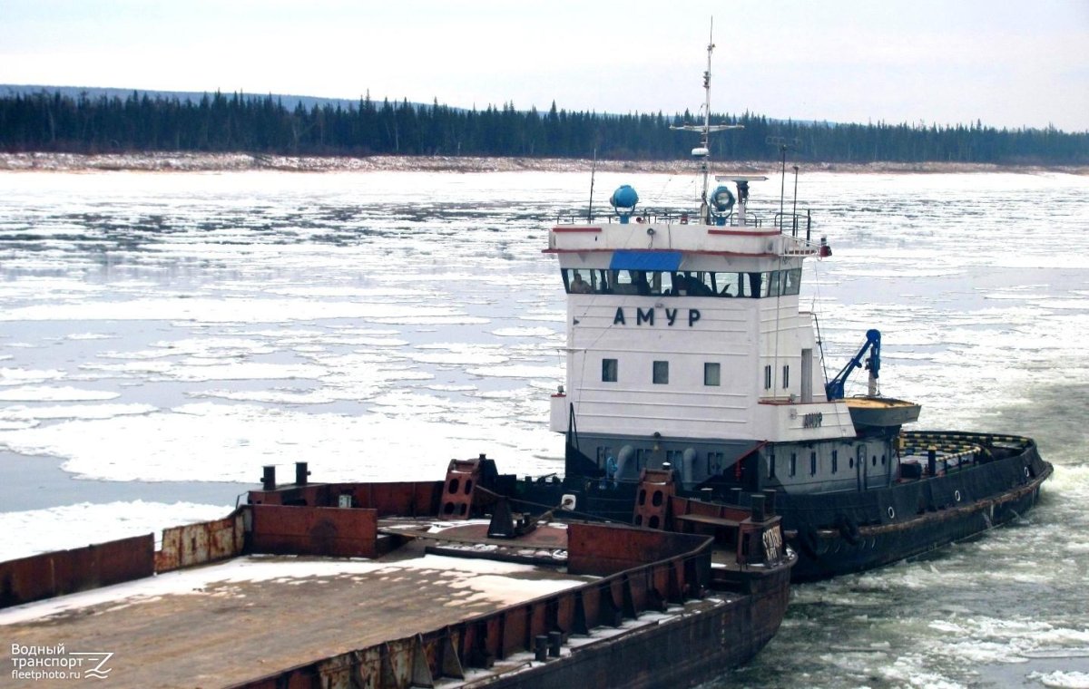Толкачи и буксиры на Амуре