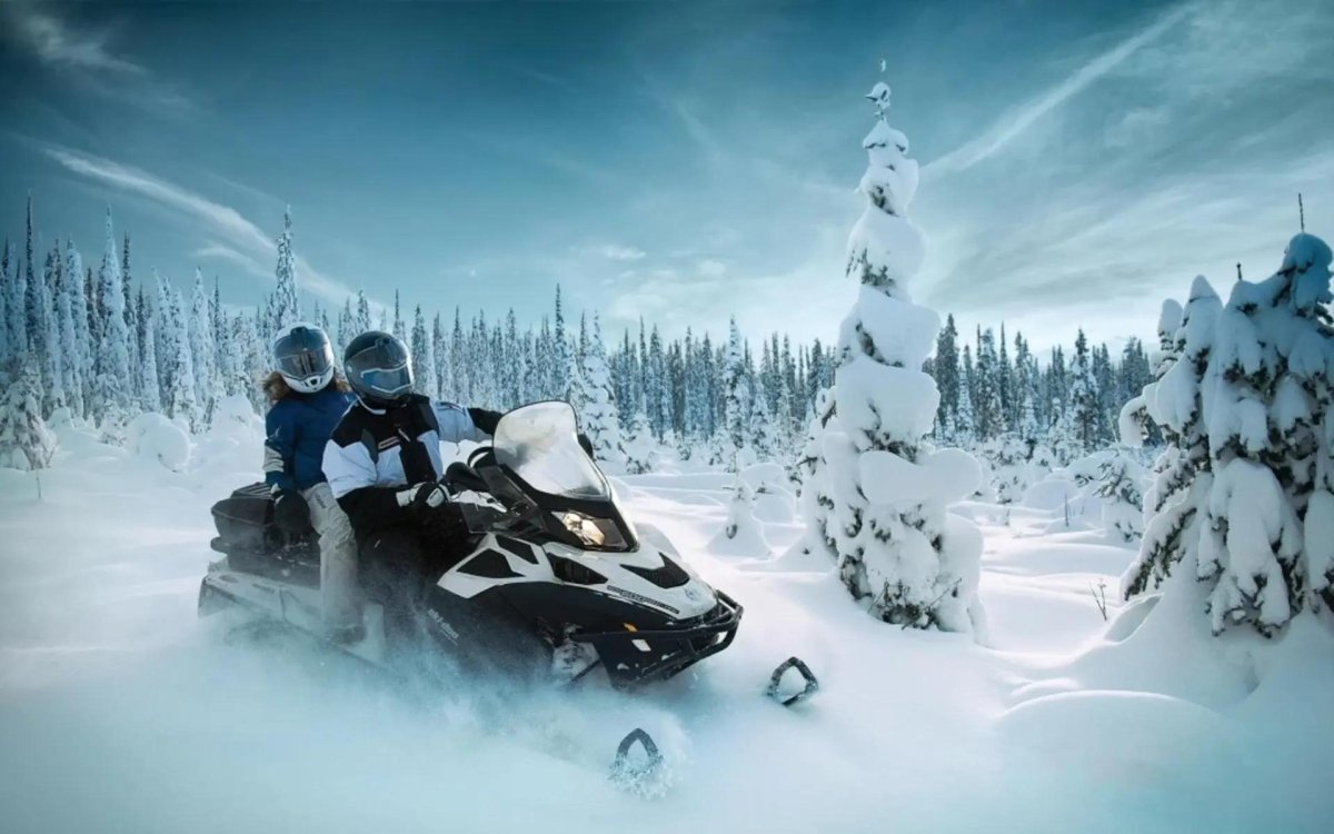 Снегоход в лесу