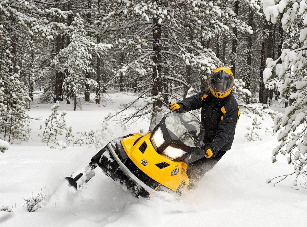 Ski Doo Tundra WT