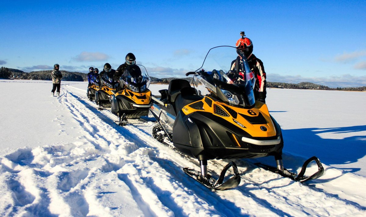 Терра Нордика