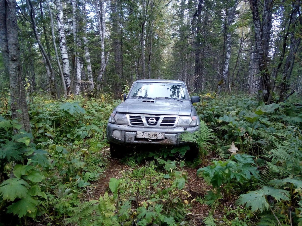 Ниссан Тайга