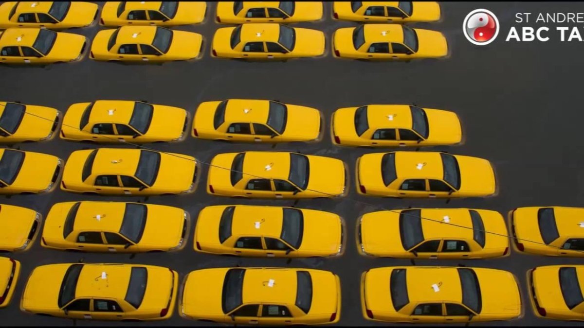 Много желтых машин