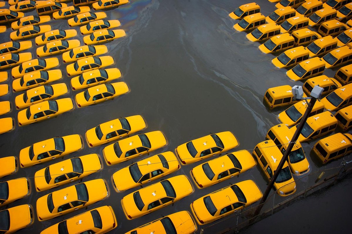 Много желтых машин