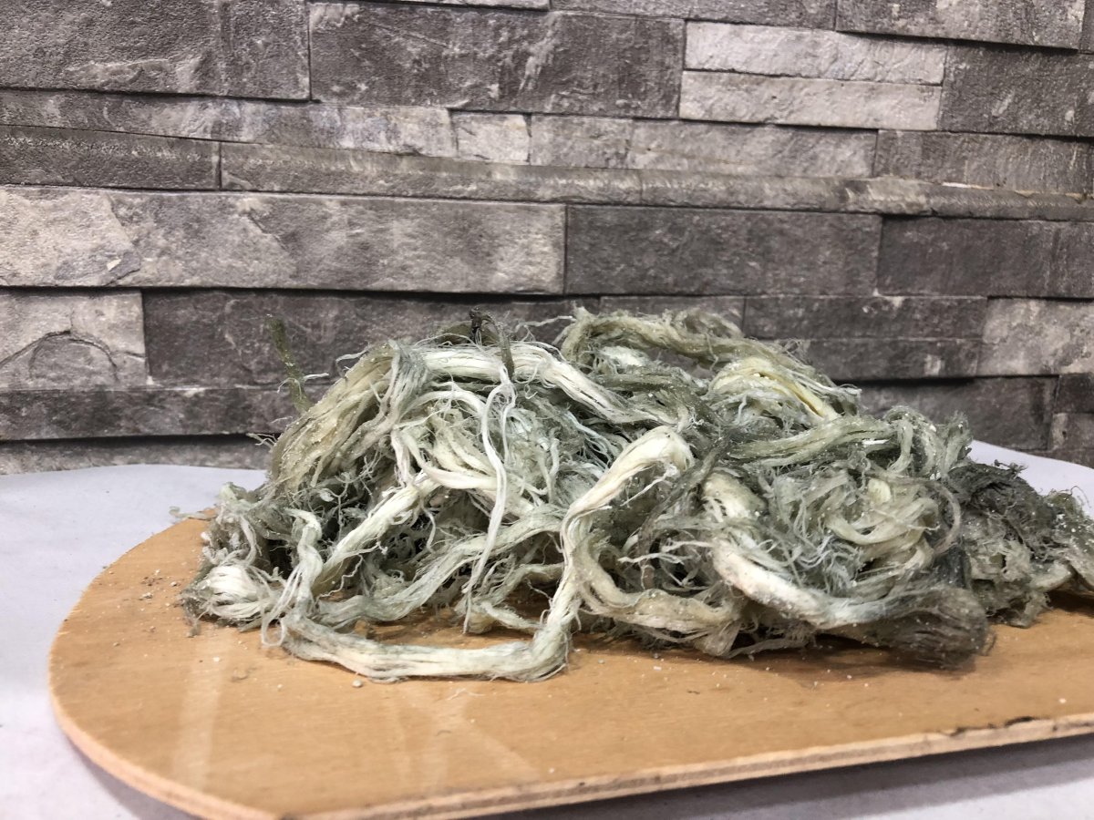 Чечиль пейнир